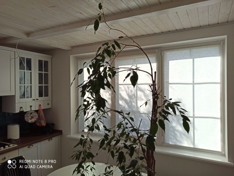 img 6f046cf30956858c24ec244ea443187d v