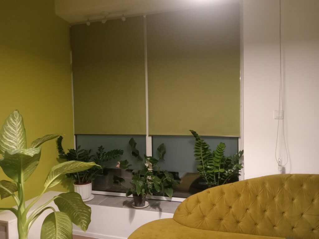 Ролети блекаут в офіс