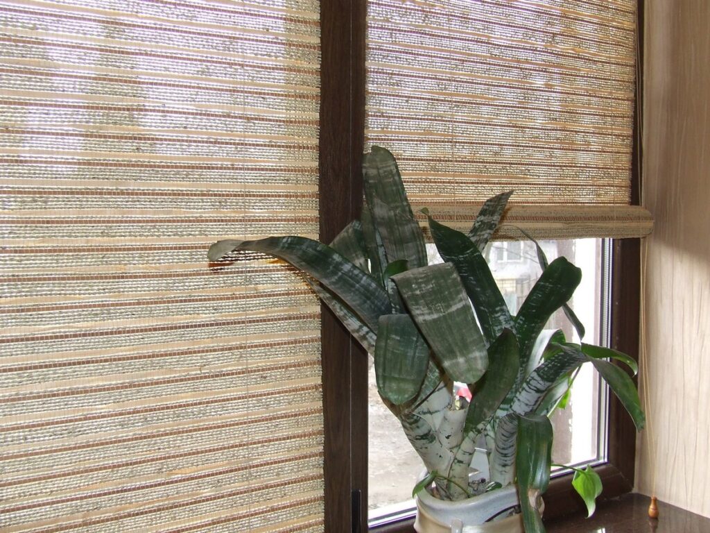 Бамбукові ролети